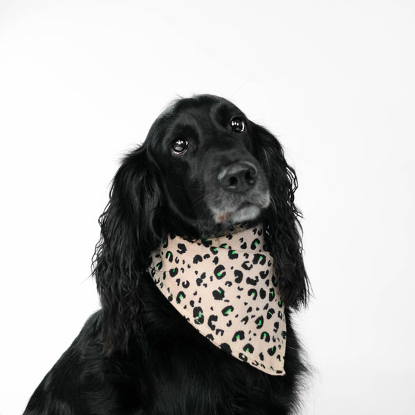 Dog Bandana