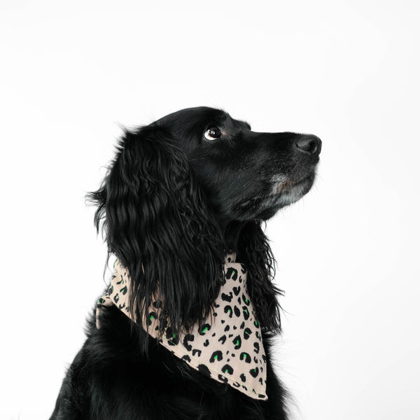 Dog Bandana Hundehalstuch