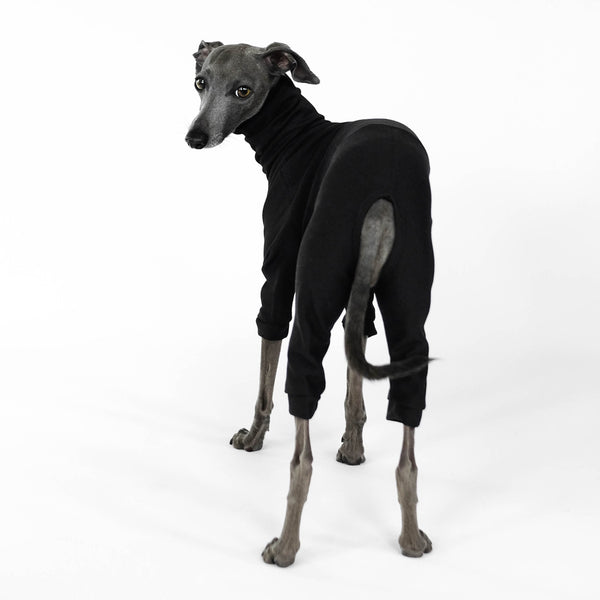 Belin Jumper Italian Greyhound