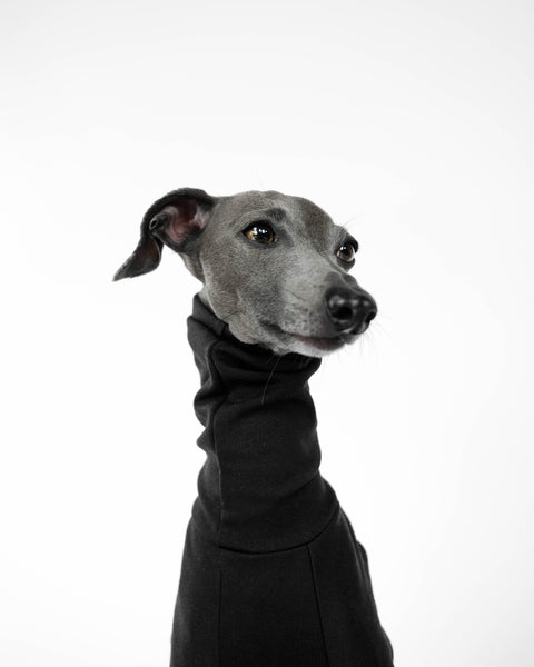 Italian Greyhound Jumpsuit black