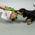 Bild in Galerie-Betrachter laden, Schnüffelspielzeug Berliner Döner
