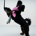 Bild in Galerie-Betrachter laden, Bungee-Tau Teddy Mint / Bubblegum
