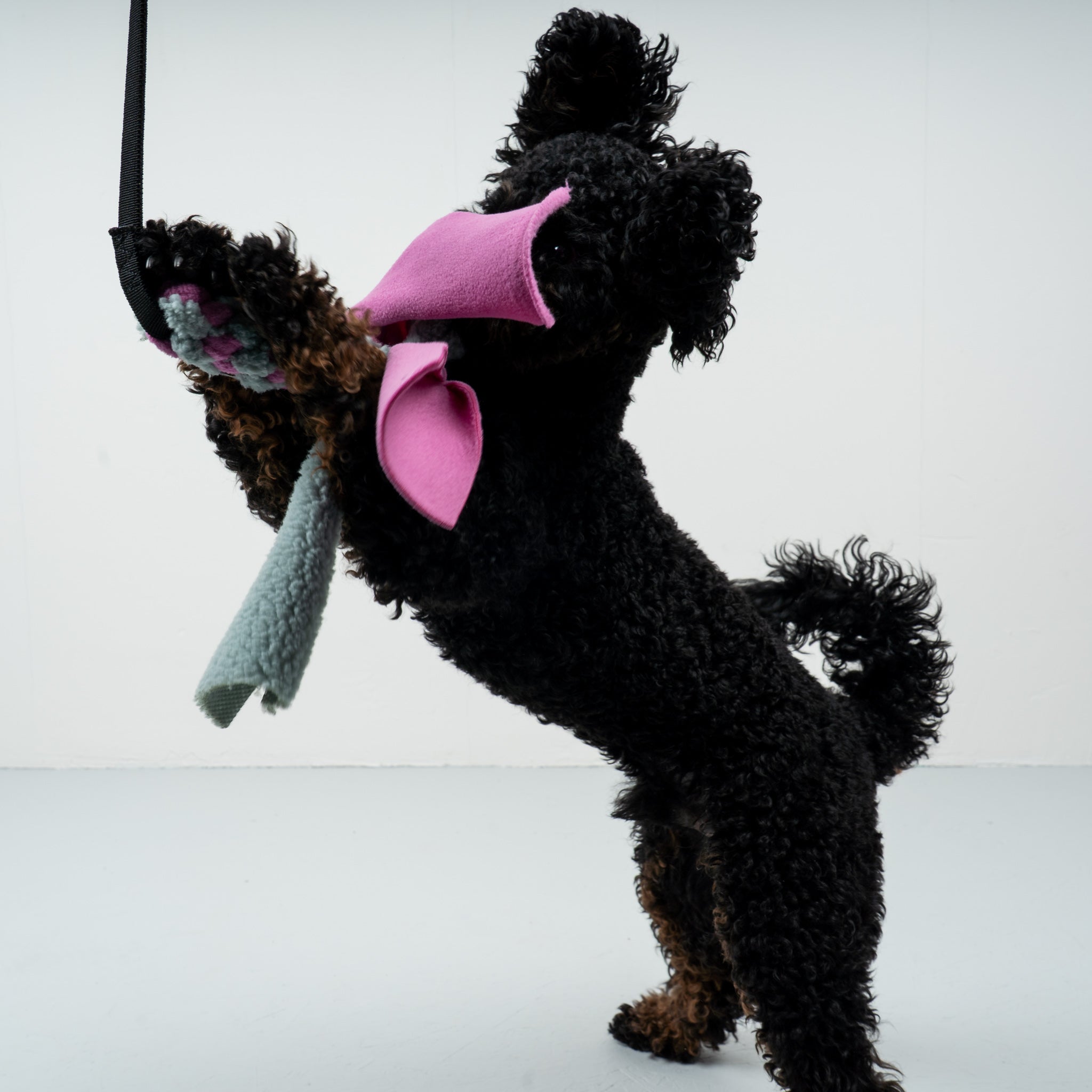 Bungee-Tau Teddy Mint / Bubblegum