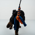Bild in Galerie-Betrachter laden, Bungee-Tau Navy / Orange

