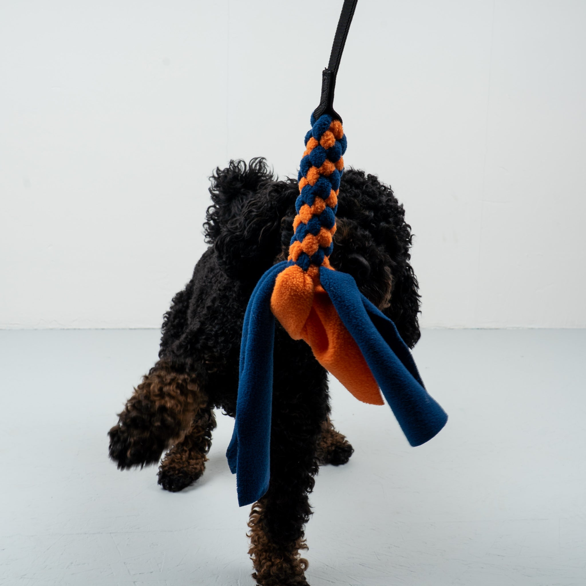 Bungee-Tau Navy / Orange