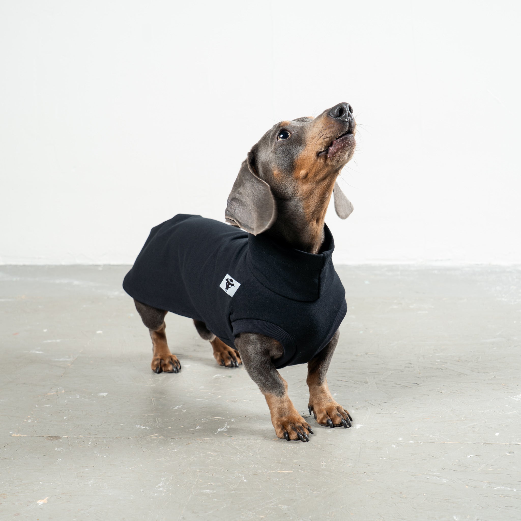COTTON SHIRT Dackel Schwarz