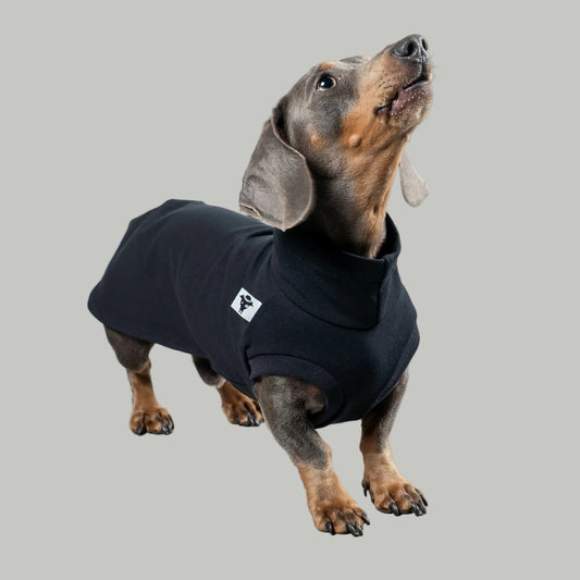 COTTON SHIRT Dackel Schwarz