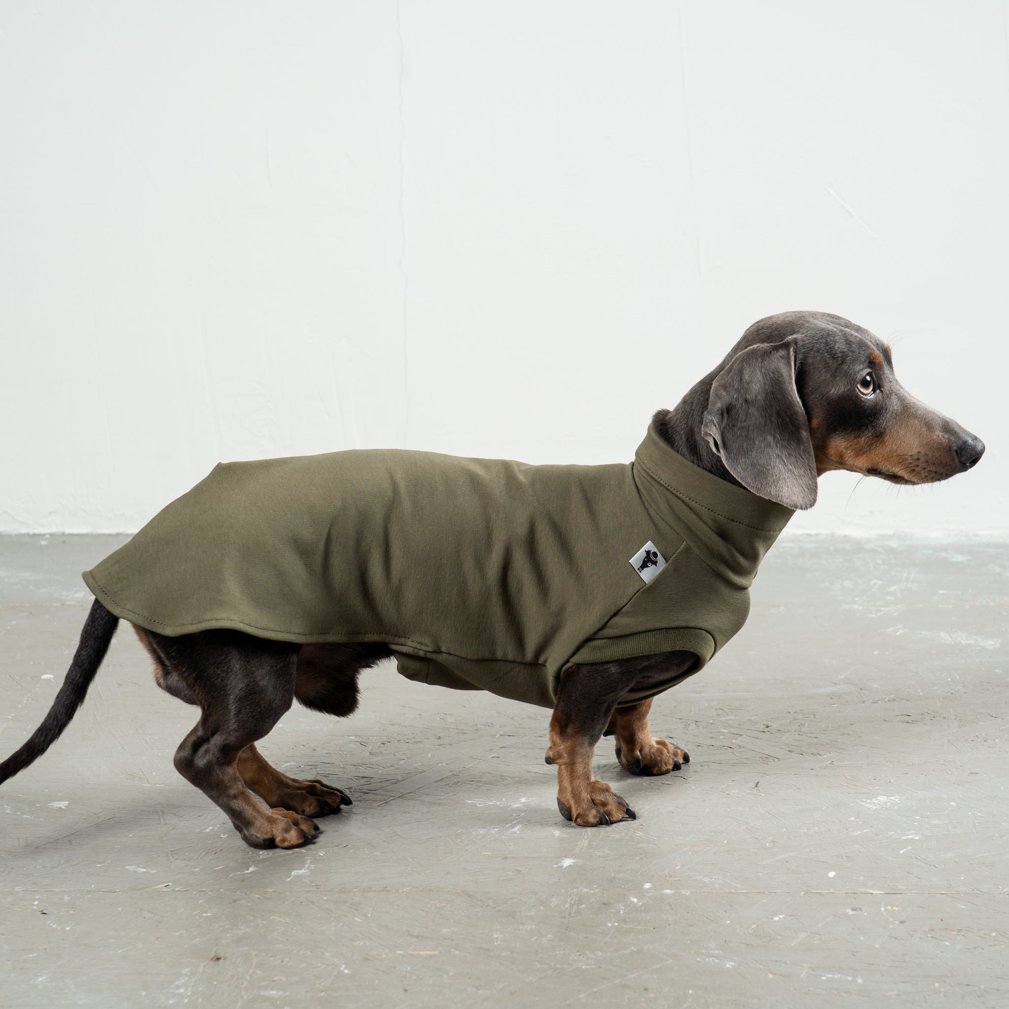 COTTON SHIRT Dackel Dark Olive