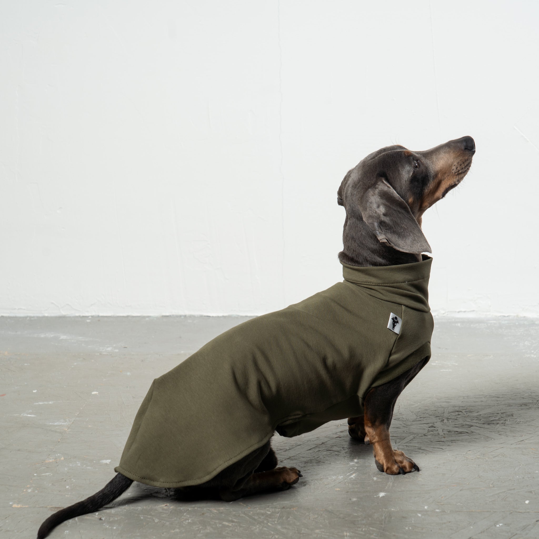 COTTON SHIRT Dackel Dark Olive