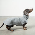 Bild in Galerie-Betrachter laden, COTTON SHIRT Dackel Grey Melange
