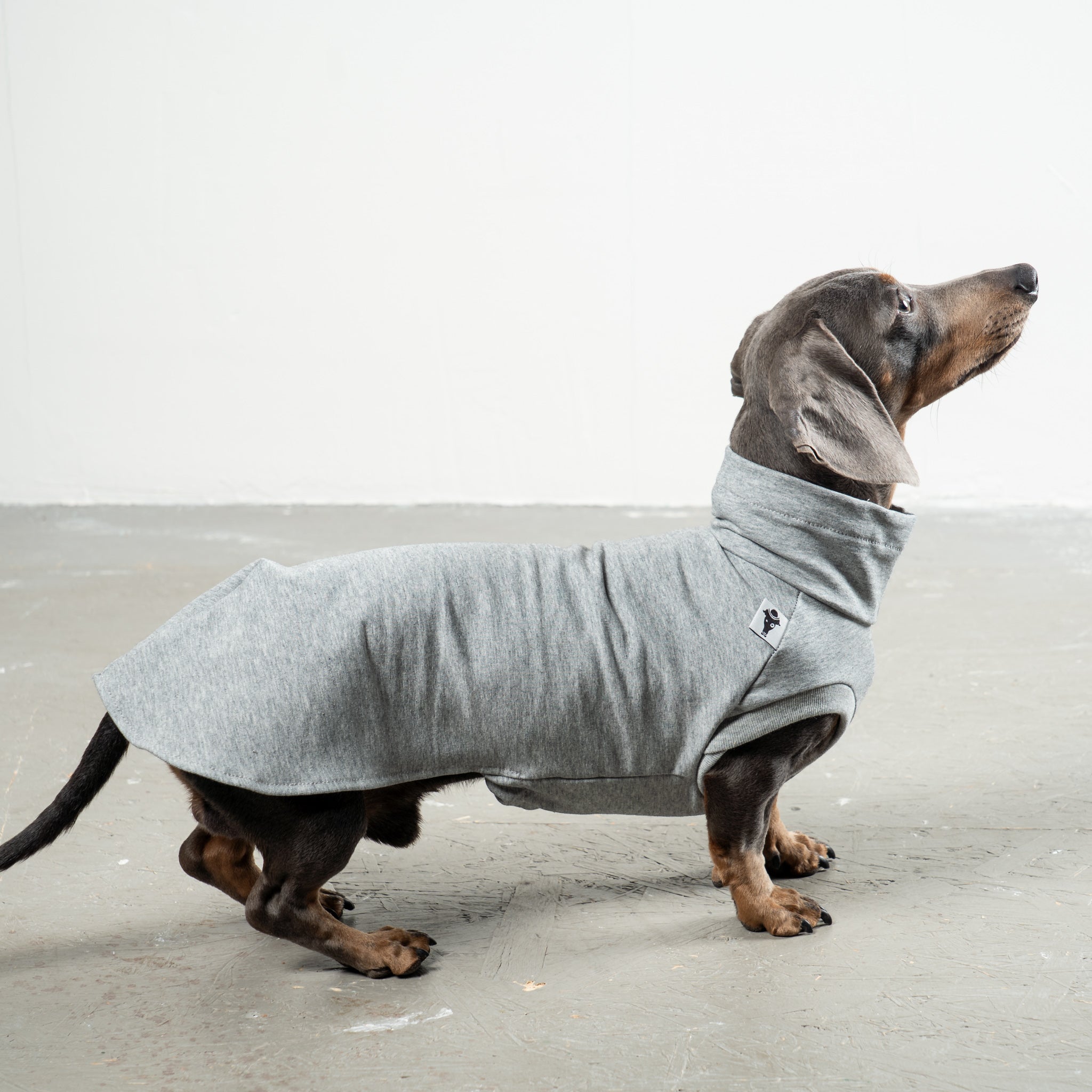 COTTON SHIRT Dackel Grey Melange