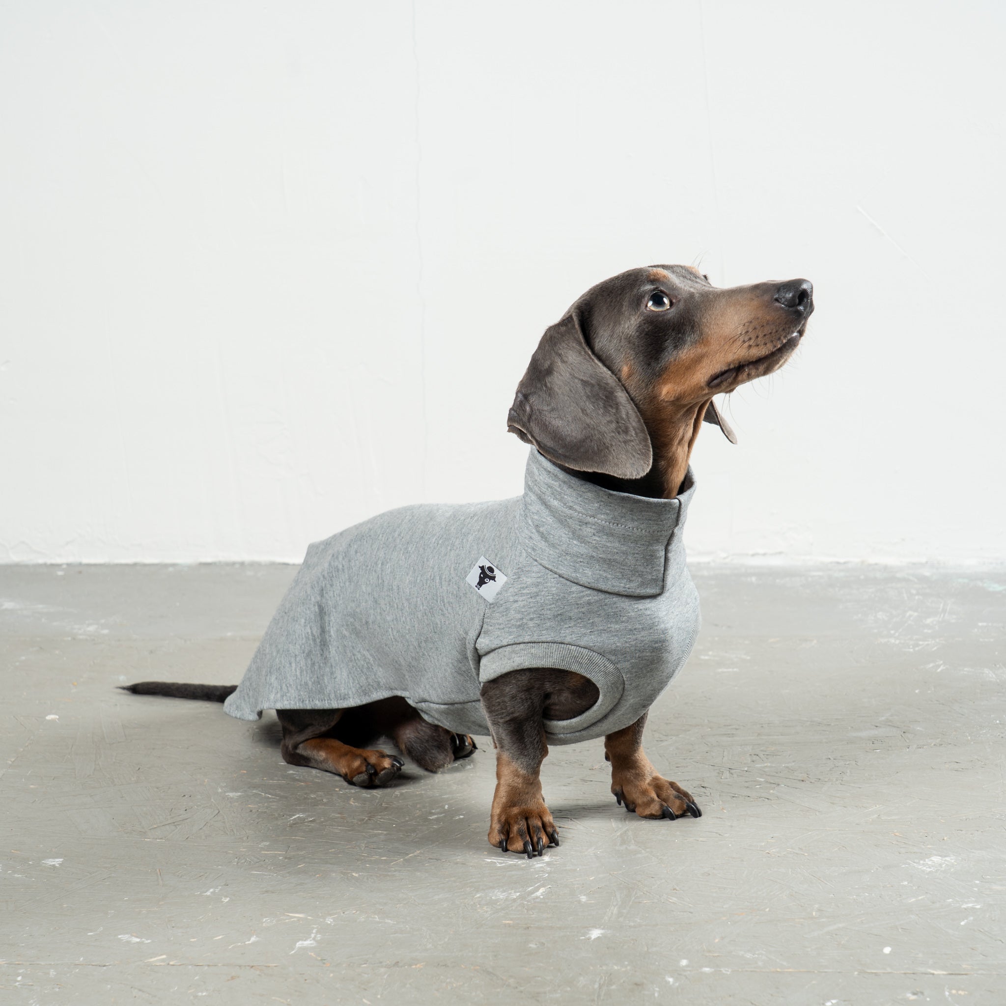 COTTON SHIRT Dackel Grey Melange