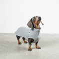 Bild in Galerie-Betrachter laden, COTTON SHIRT Dackel Grey Melange

