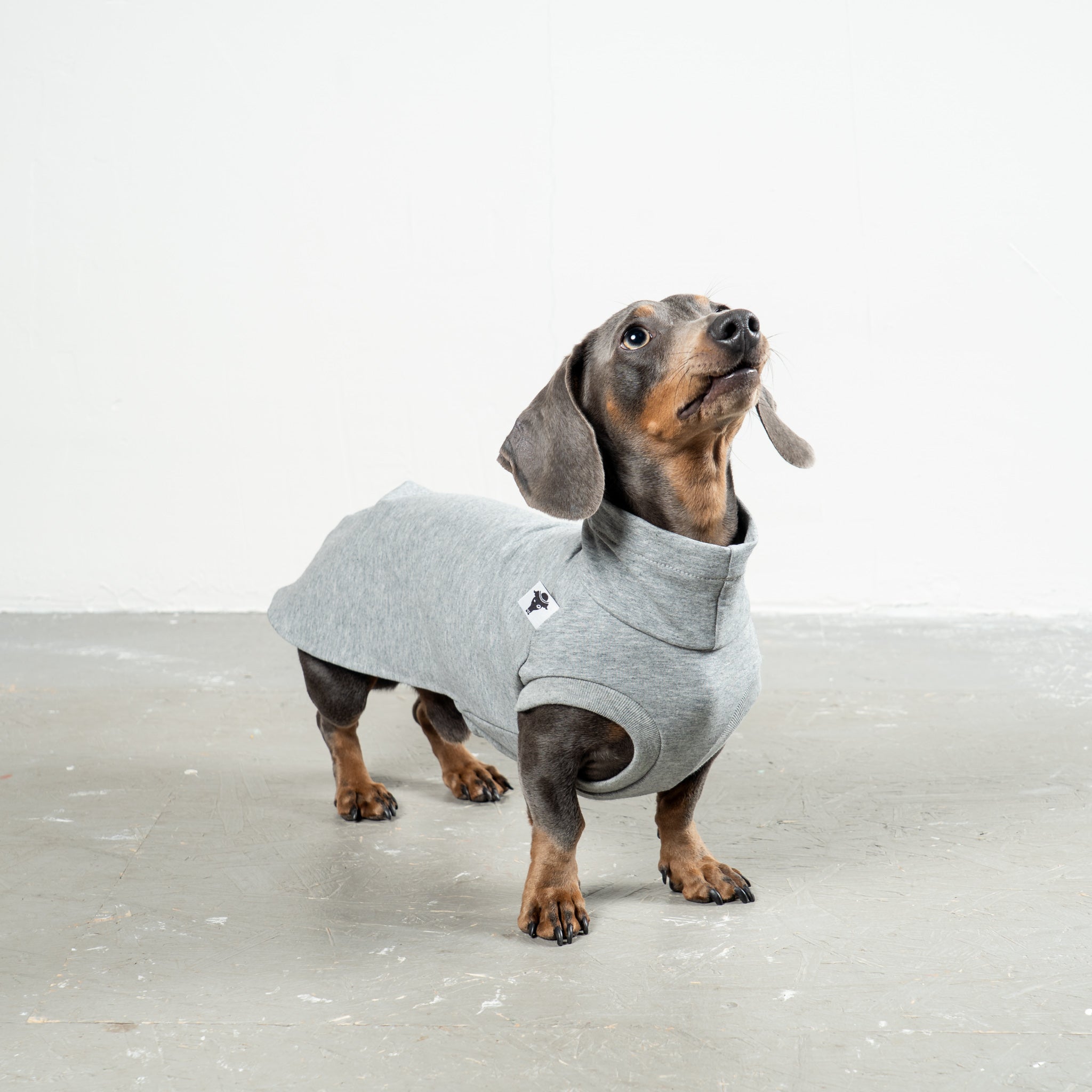 COTTON SHIRT Dackel Grey Melange