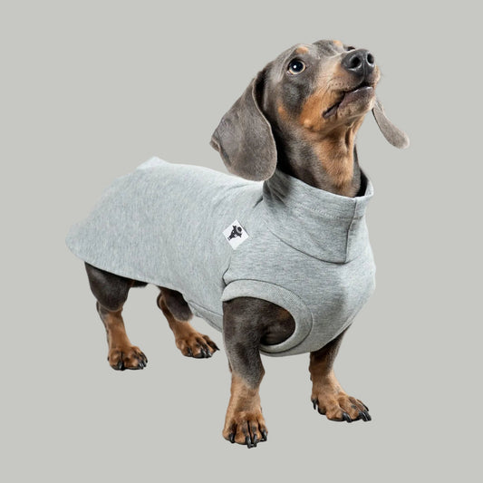COTTON SHIRT Dackel Grau meliert