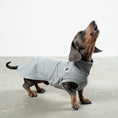 Bild in Galerie-Betrachter laden, COTTON SHIRT Dackel Grey Melange
