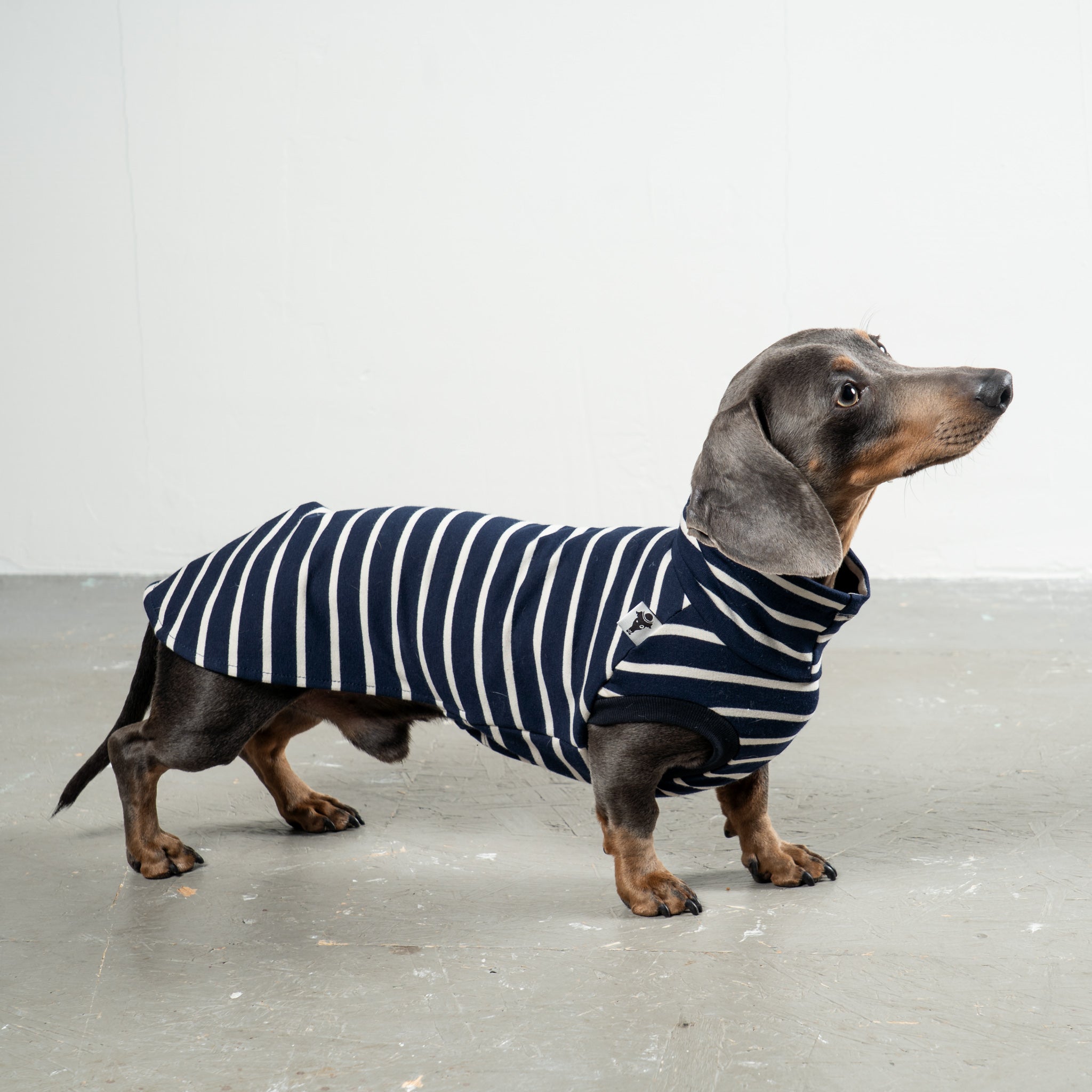 COTTON SHIRT Dackel Navy