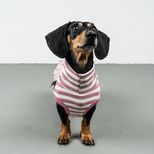 COTTON SHIRT Dackel Rosa gestreift