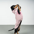 Bild in Galerie-Betrachter laden, COTTON SHIRT Dackel Pink Stripes
