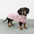 Bild in Galerie-Betrachter laden, COTTON SHIRT Dackel Pink Stripes
