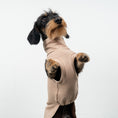 Bild in Galerie-Betrachter laden, COTTON SHIRT Dackel Sand
