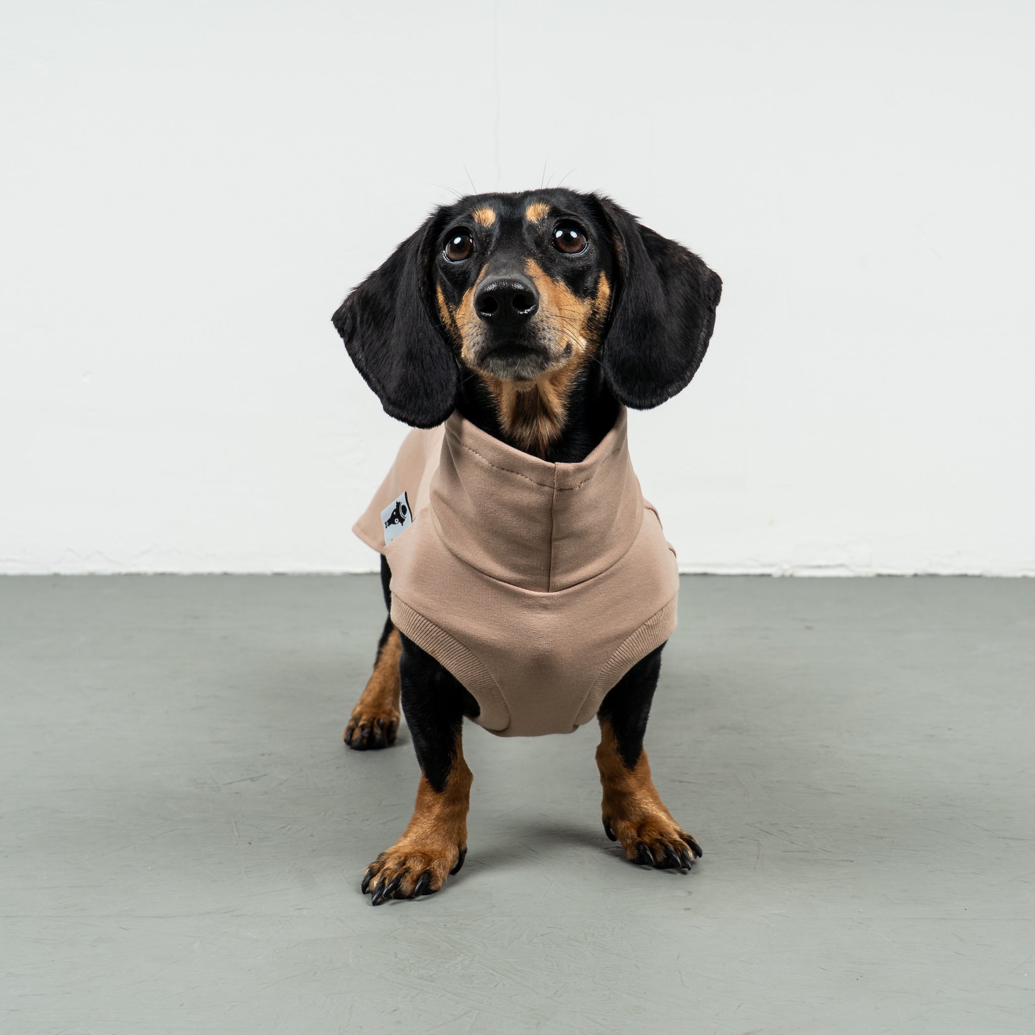 COTTON SHIRT Dackel Sand