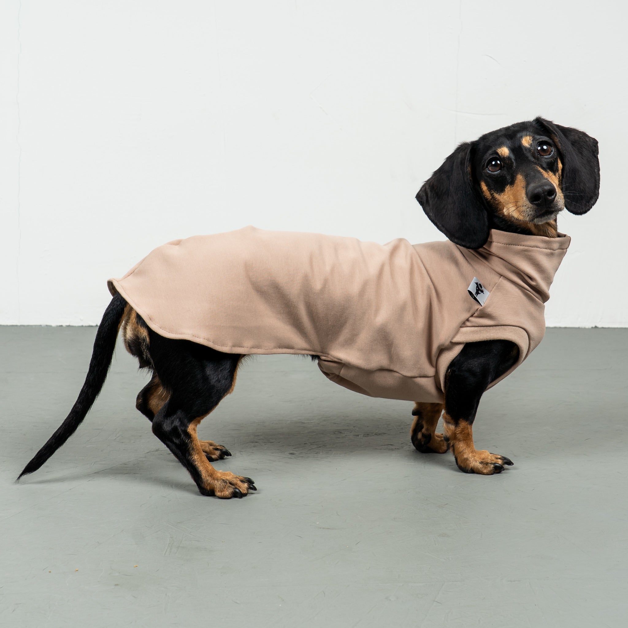 COTTON SHIRT Dackel Sand