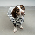 Bild in Galerie-Betrachter laden, COTTON SHIRT Dackel White
