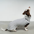 Bild in Galerie-Betrachter laden, COTTON SHIRT Dackel White
