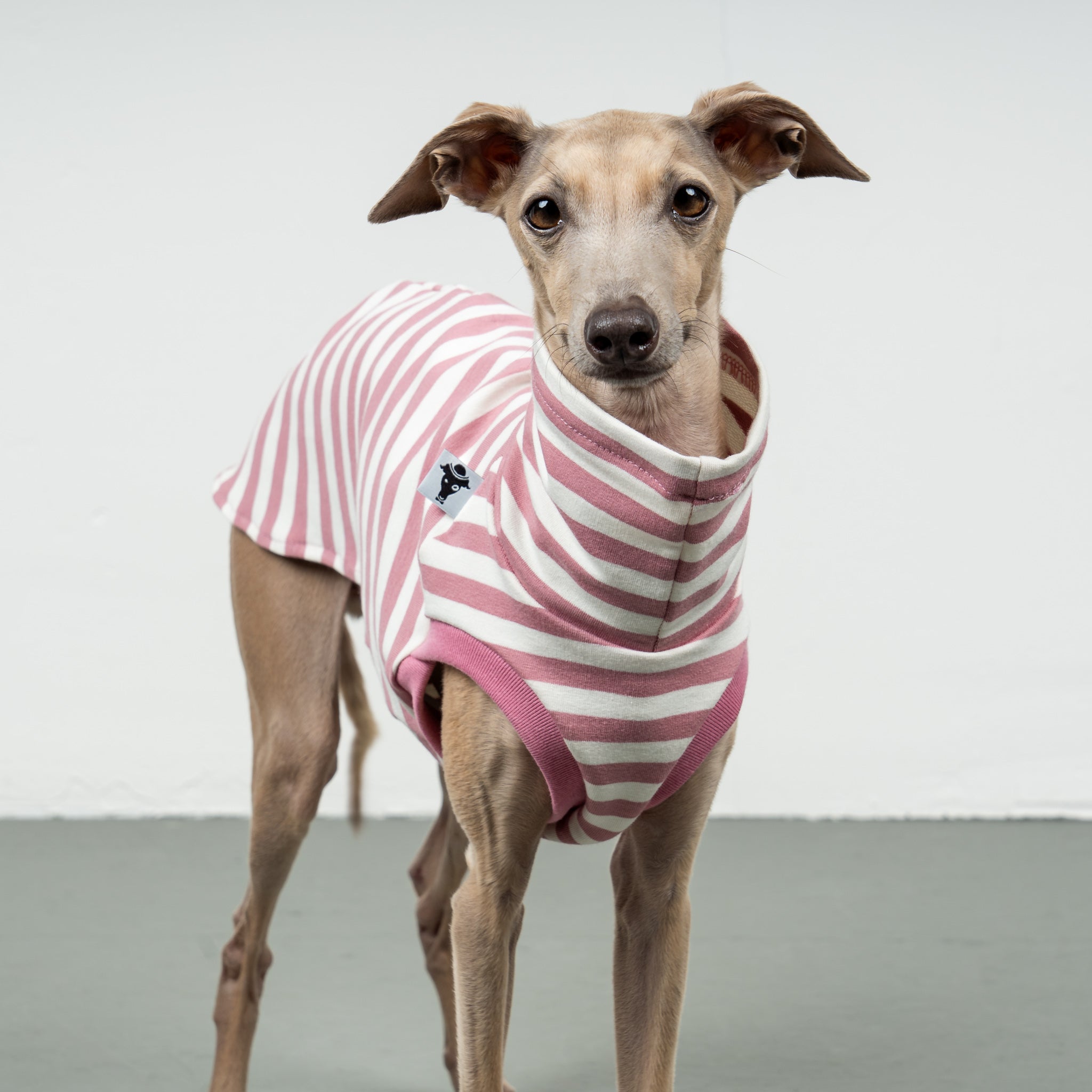 COTTON SHIRT Iggy Pink Stripes
