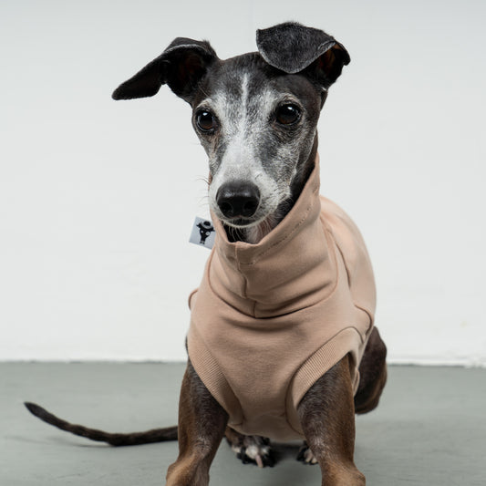 COTTON SHIRT Iggy Puder Beige