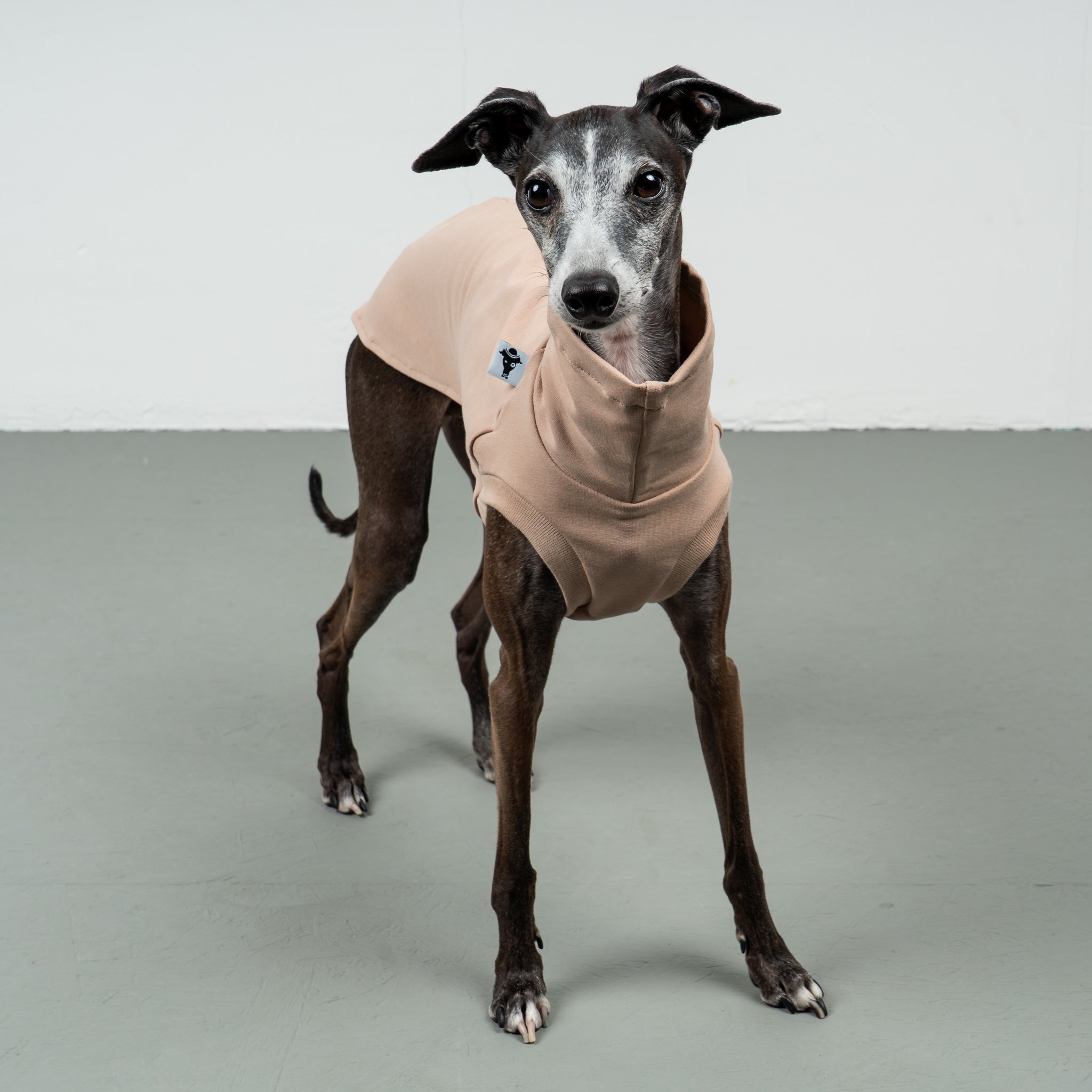 COTTON SHIRT Iggy Sand