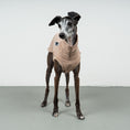 Bild in Galerie-Betrachter laden, COTTON SHIRT Iggy Sand
