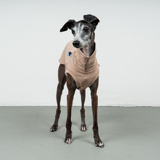 COTTON SHIRT Iggy Sand