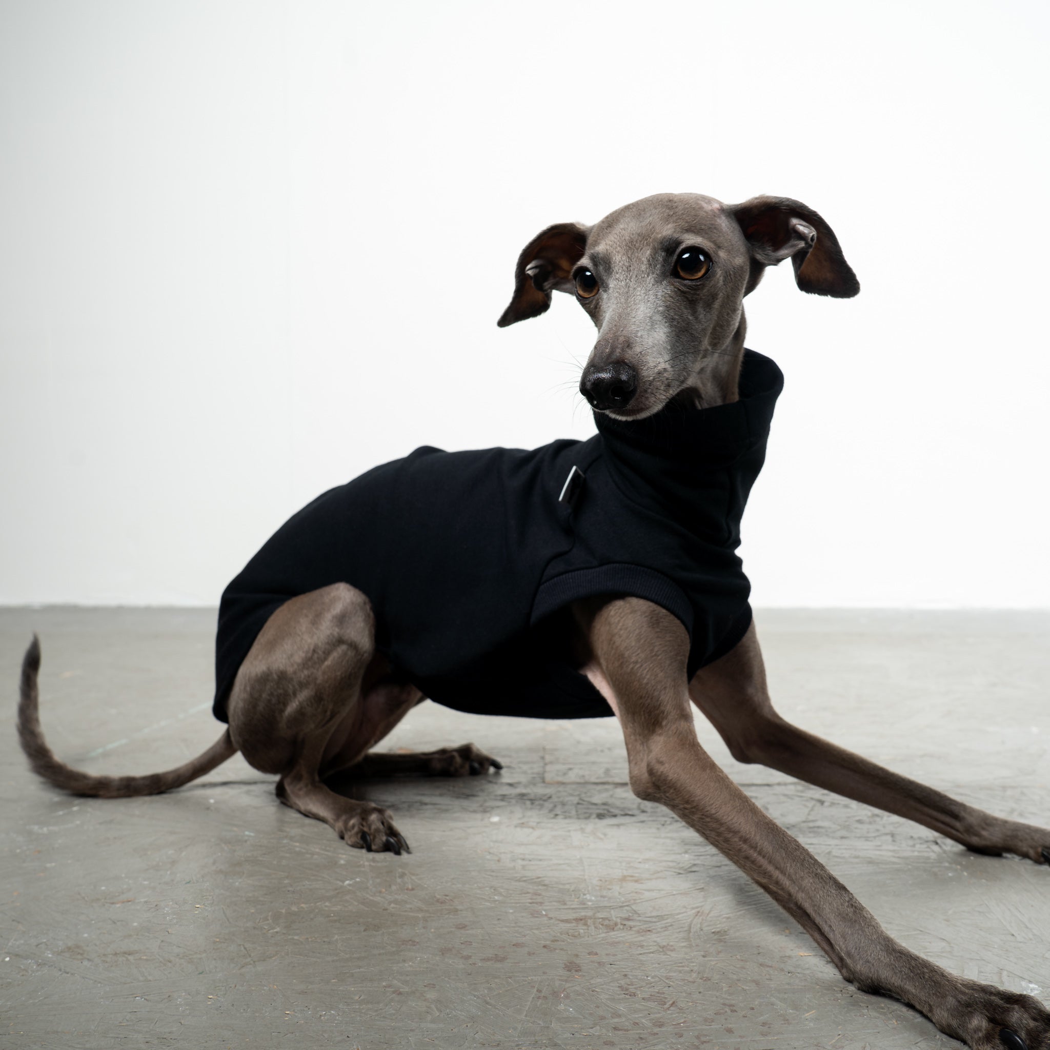 COTTON SHIRT Iggy Schwarz