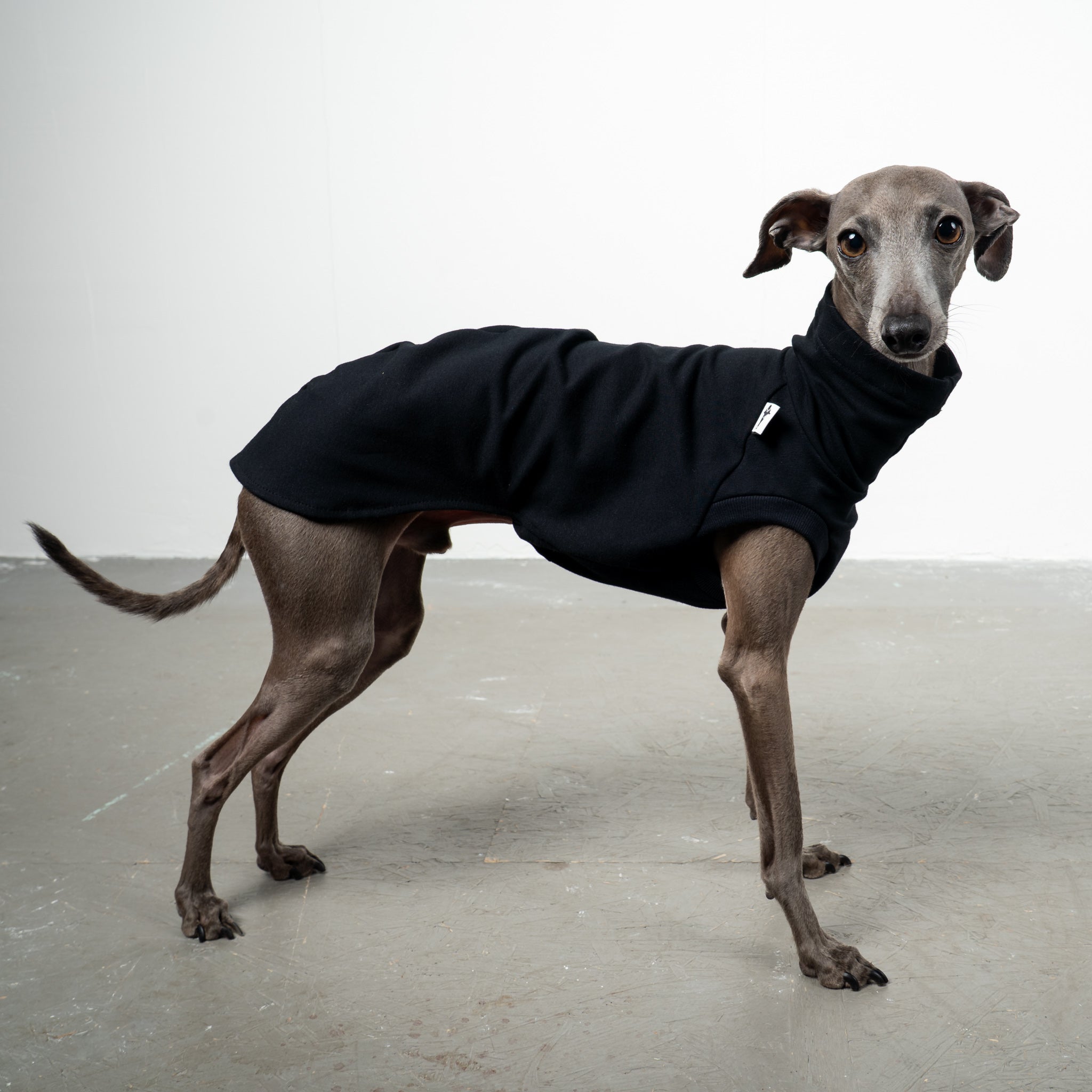 COTTON SHIRT Iggy Schwarz