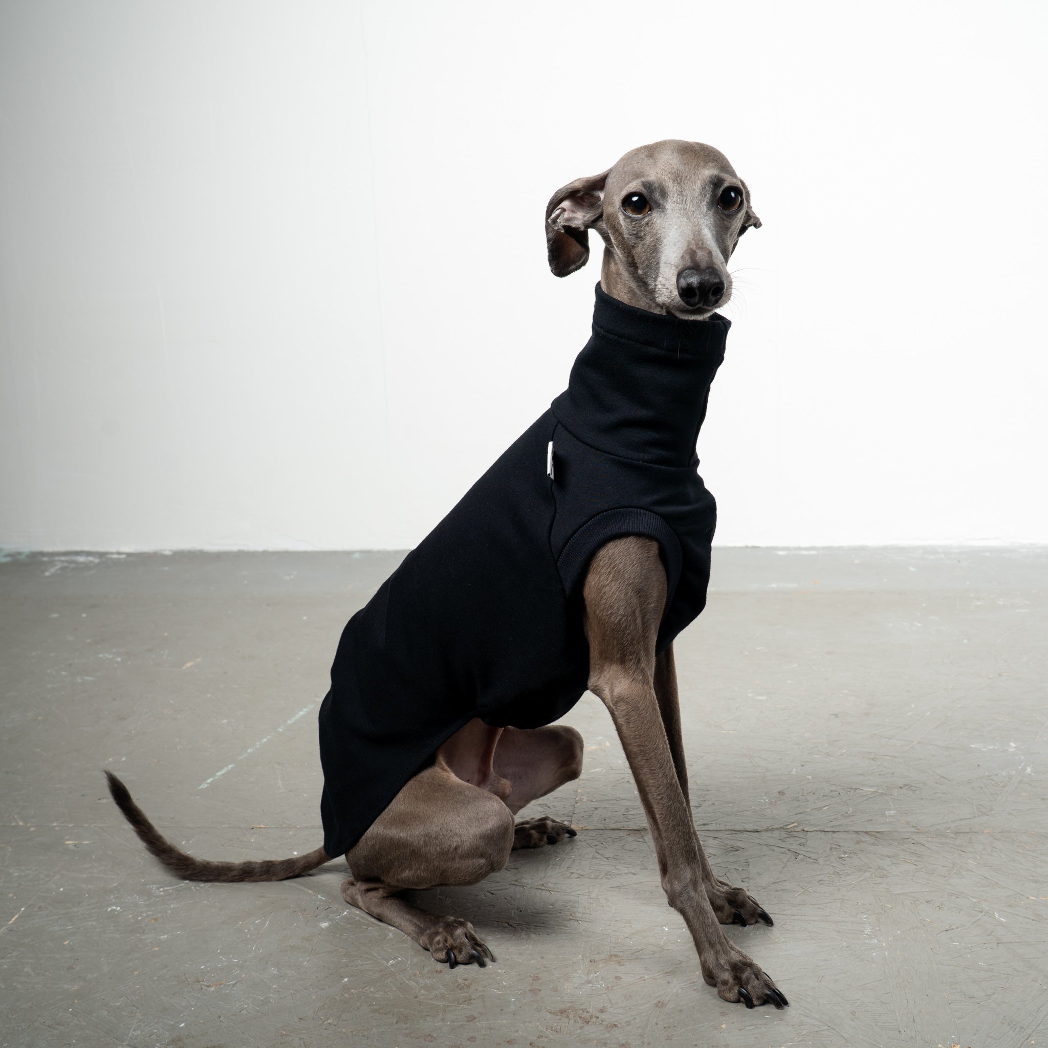 COTTON SHIRT Iggy Schwarz