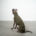 Bild in Galerie-Betrachter laden, COTTON SHIRT Iggy Dark Olive
