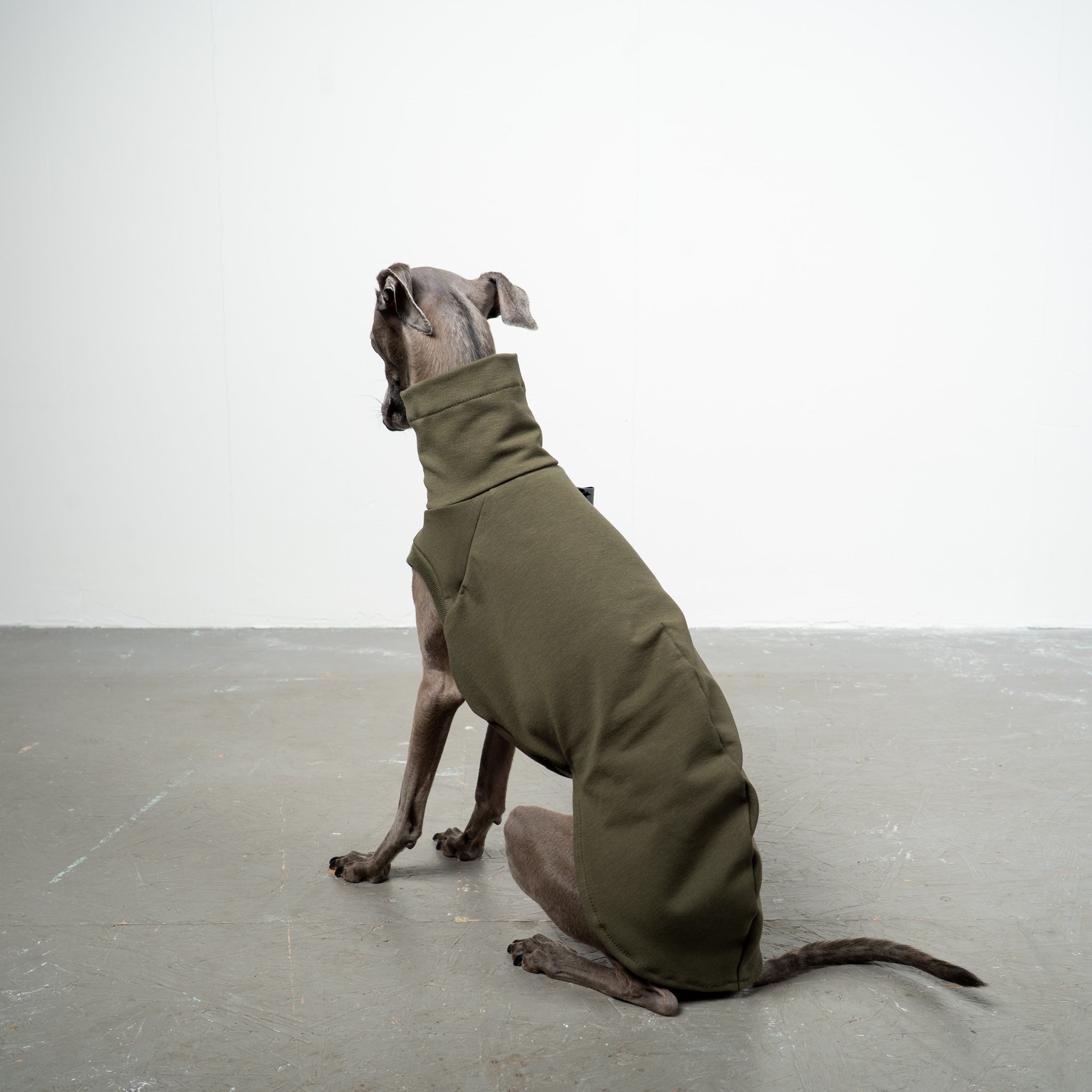 COTTON SHIRT Iggy Dark Olive