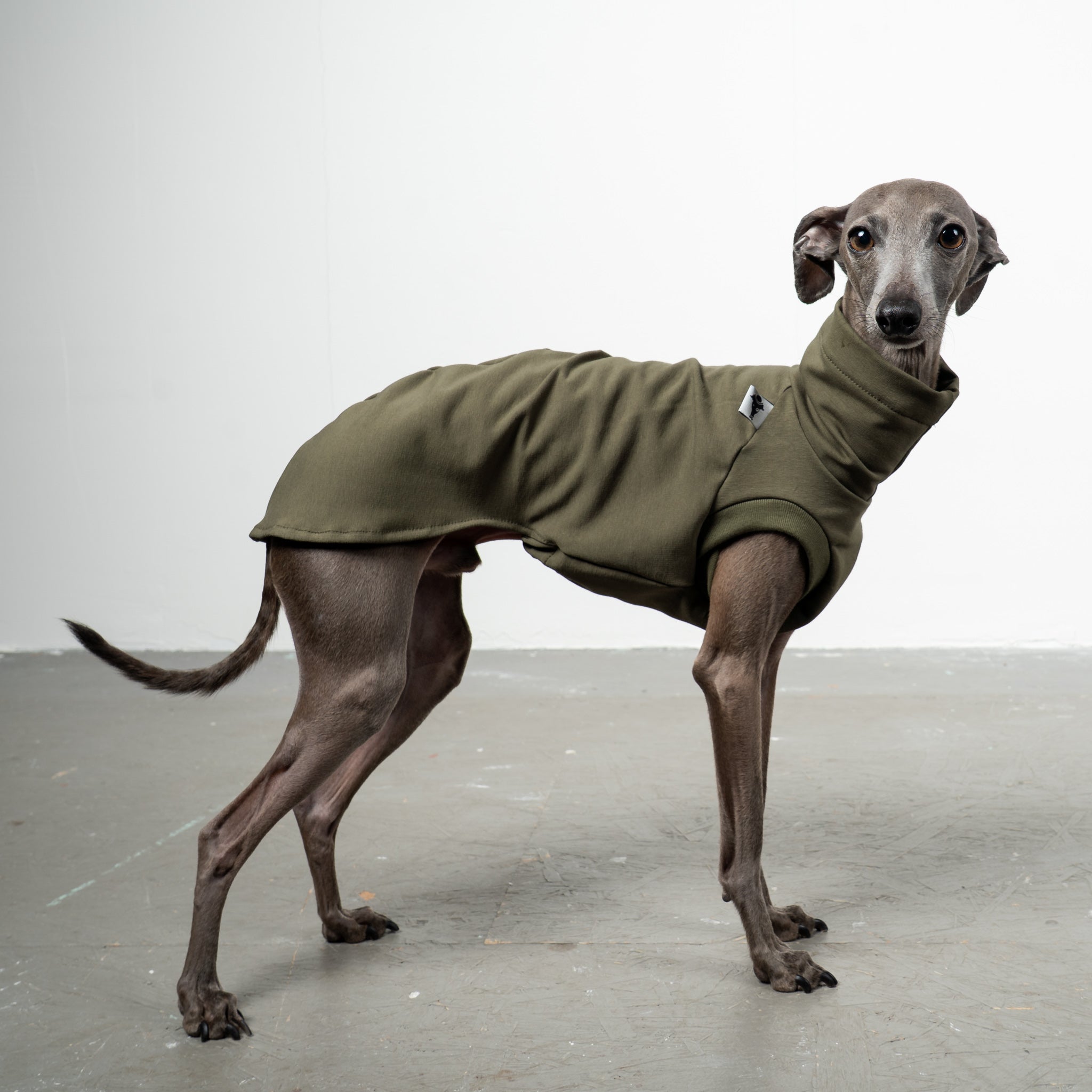 COTTON SHIRT Iggy Dark Olive