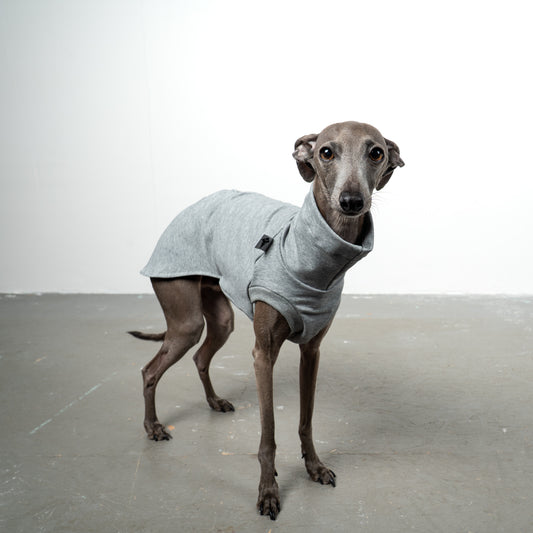 COTTON SHIRT Iggy Grau meliert