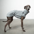 Bild in Galerie-Betrachter laden, COTTON SHIRT Iggy Grey Melange
