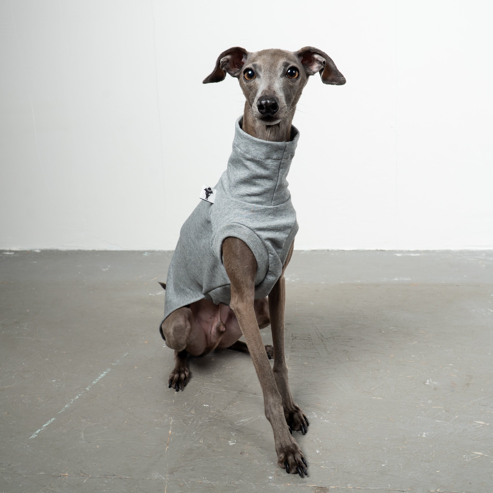 COTTON SHIRT Iggy Grey Melange