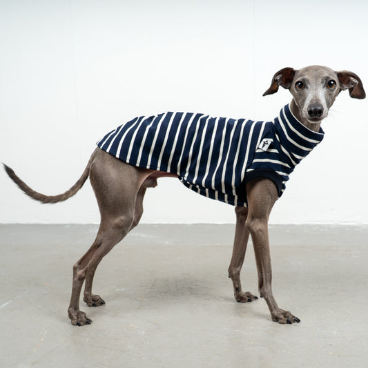COTTON SHIRT Iggy Navy