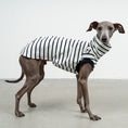 Bild in Galerie-Betrachter laden, COTTON SHIRT Iggy White
