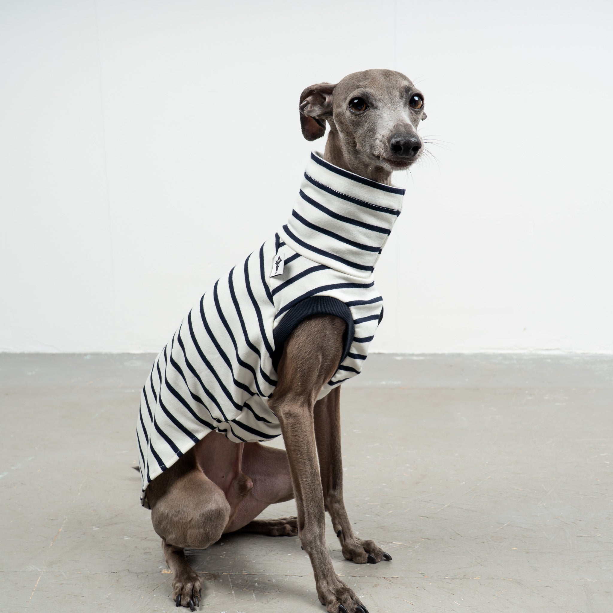 COTTON SHIRT Iggy White