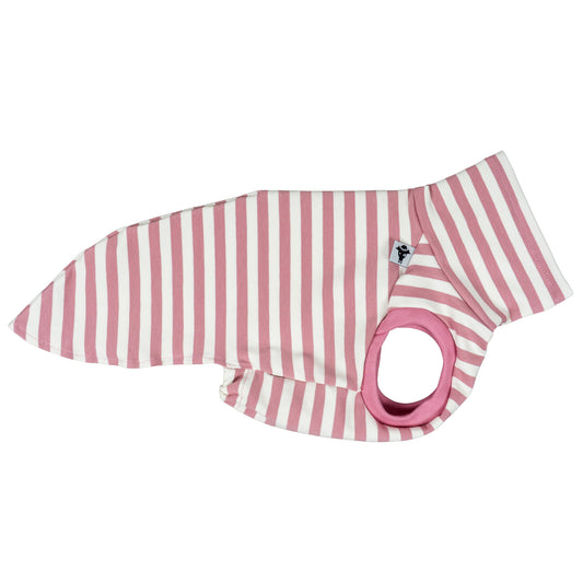 COTTON SHIRT Iggy Pink Stripes