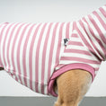 Bild in Galerie-Betrachter laden, COTTON SHIRT Windhund Pink Stripes
