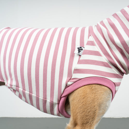 COTTON SHIRT Windhund Pink Stripes