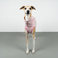 Bild in Galerie-Betrachter laden, COTTON SHIRT Windhund Pink Stripes
